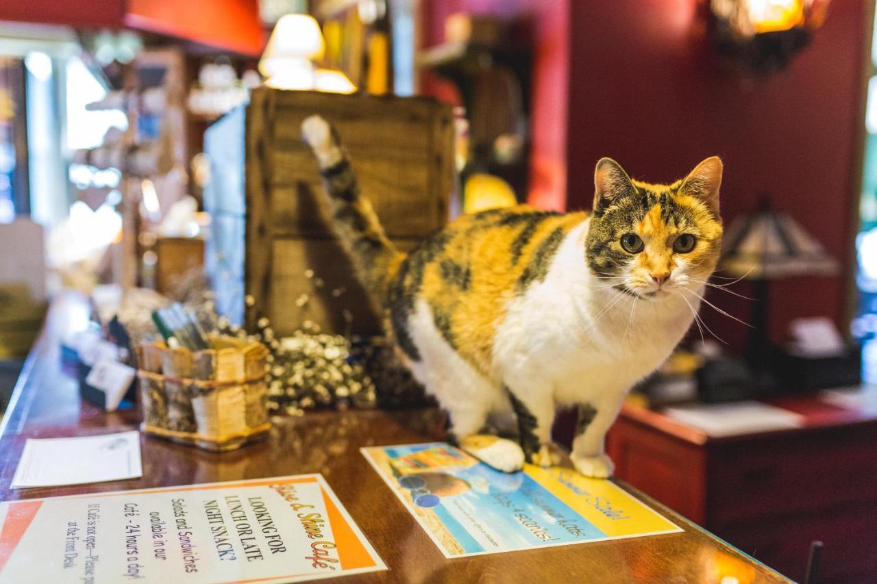 The Common Man Inn, Spa & Lodge プリマス エクステリア 写真